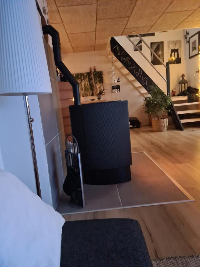Marsvinslund Bed And Breakfast Viborg Exterior photo