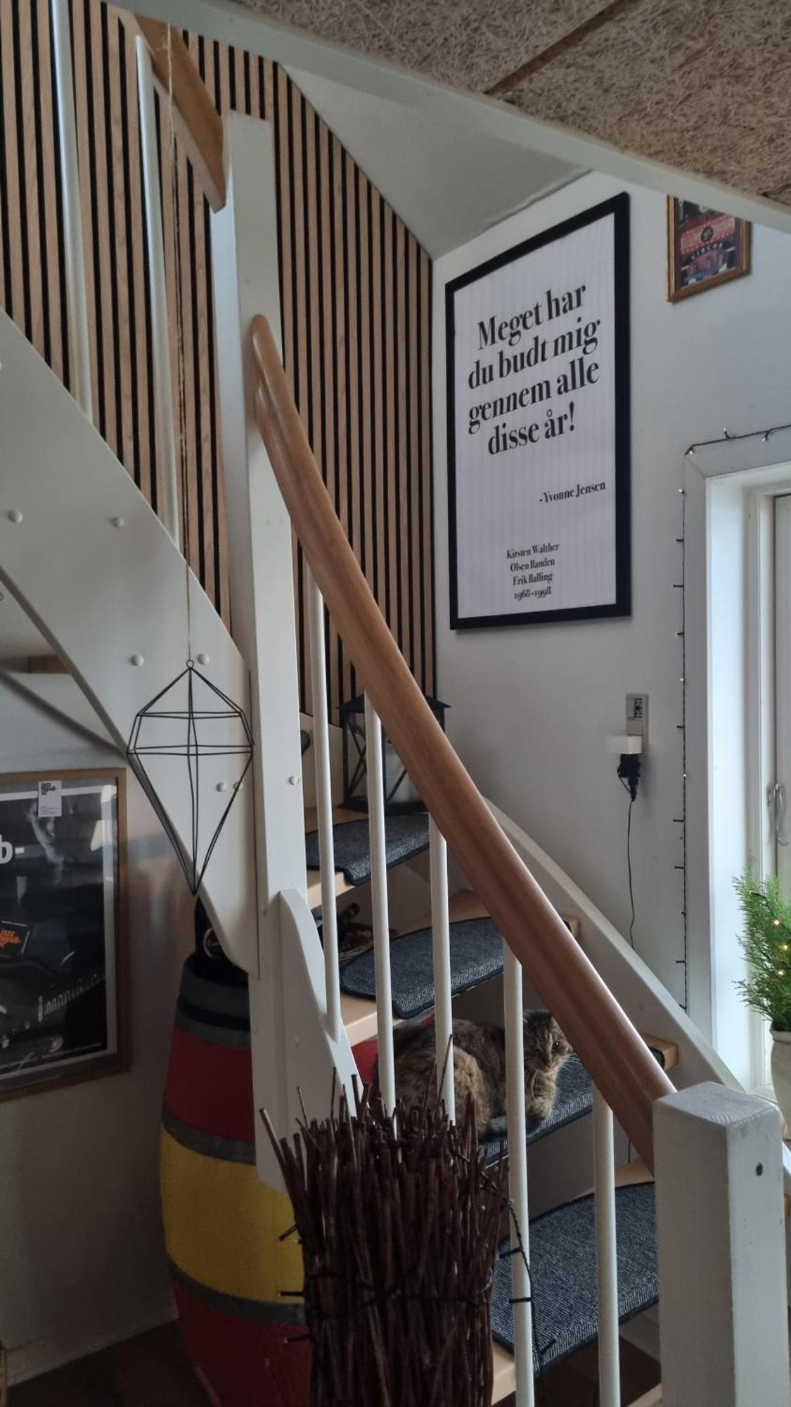 Marsvinslund Bed And Breakfast Viborg Exterior photo